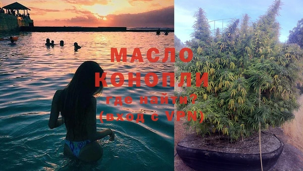 2c-b Вяземский