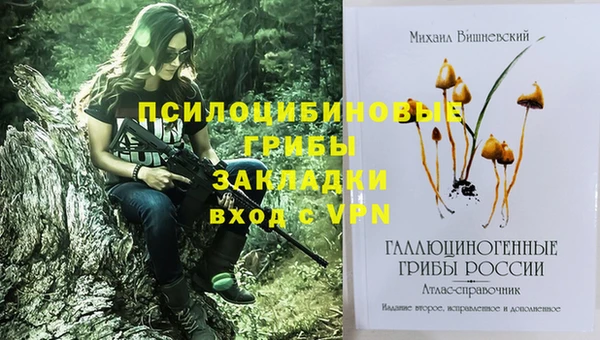 крисы Вязники